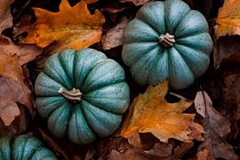 Kürbisse im Herbst von Poster Art Shop