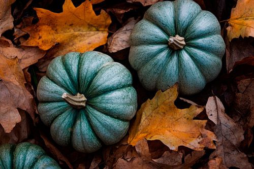 Pompoenen in de herfst