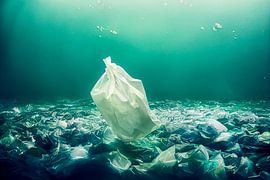 Sac plastique dans l'eau, illustration