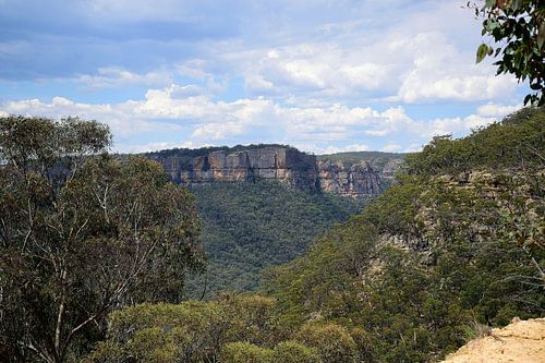 Terug bij de Wolgan Valley Lookout