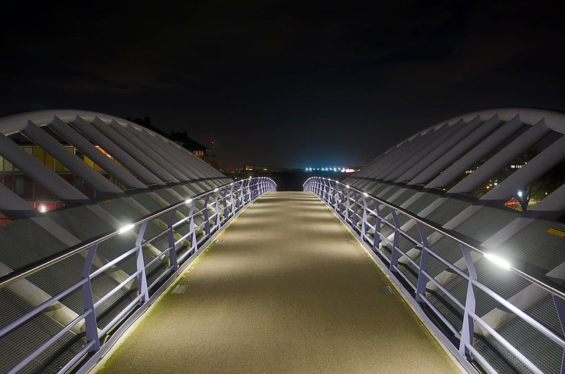 Fietsbrug Houten-Zuid ("Alp d'Huez") van Pierre Timmermans