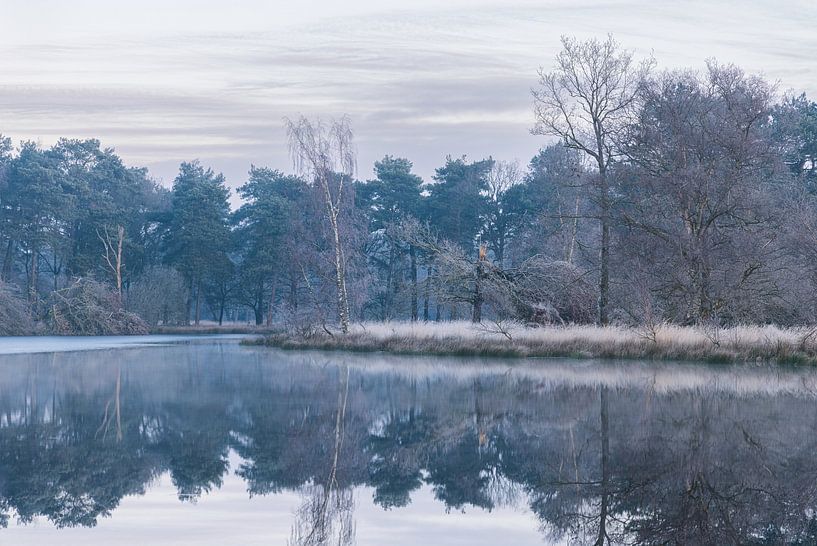 Nature reserve National Park Dwingelderveld (Drenthe) - Netherlands by Marcel Kerdijk