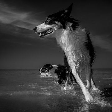 Eine scharfe Kurve im Meer