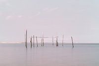 Nets / eel traps in the North Sea