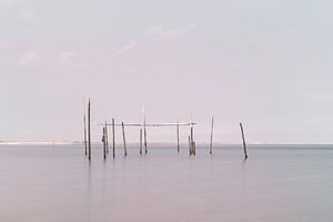 Netze / Fallen Aal in der Nordsee