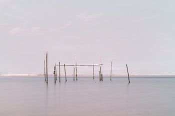 Nets / eel traps in the North Sea