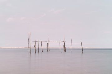 Netze / Fallen Aal in der Nordsee von Miranda van Hulst
