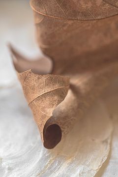 Gedroogd herfstblad bruin van Sandra Hogenes