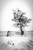 Ingang van weiland in de Sneeuw
