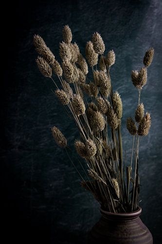 Still life with dried canary grass