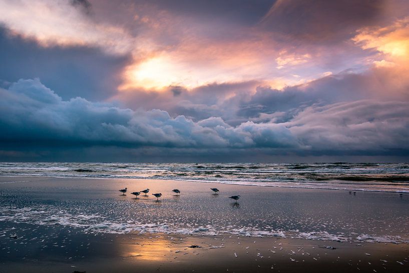 Moods van Carla Matthee