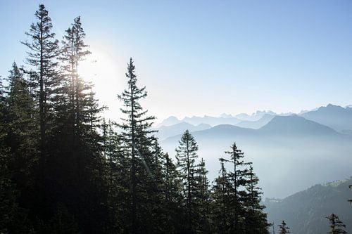 Mistig berglandschap