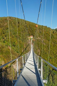 Hängebrücke über der Schlucht von Markus Lange