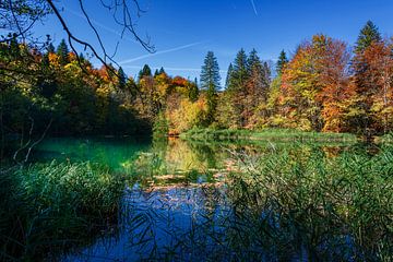 Plitvice Lakes and Waterfalls in October by Alex Neumayer