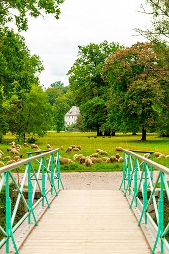 Promenade automnale dans la ville classique de Weimar