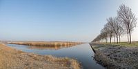 Flevolandschap #01 