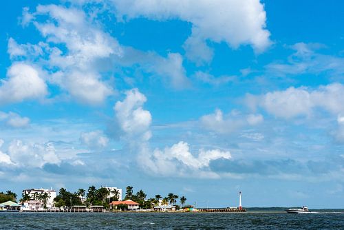 Strand en palmbomen in Belize