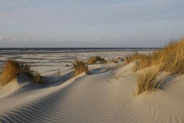 Abendlicher Strand auf Schiermonnikoog von Gerda de Voogd