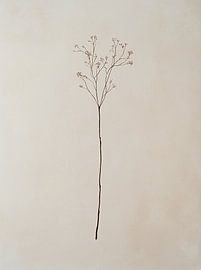 Minimalist Painting with Centred Branch and Dried Flowers - Japandi Living Style by Danny van Eldik - Perfect Pixel Design
