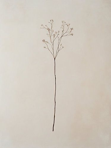 Minimalistisch Schilderij met gecentreerde Tak en Gedroogde Bloemetjes - Japandi Woonstijl