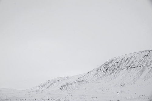 De top wit en sneeuw