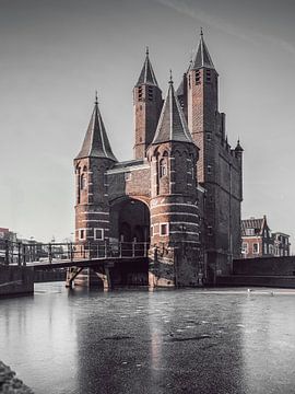 Haarlem: Amsterdamse Poort frozen.