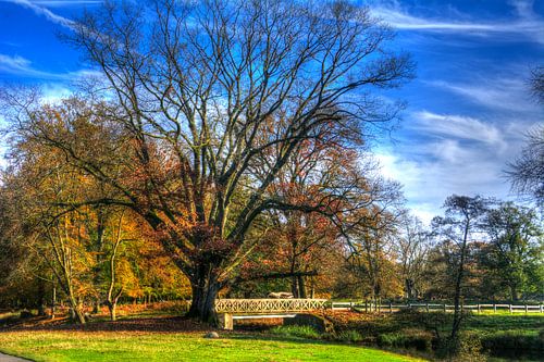 Wildpark Dülmen