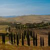 Panoramic View : Cappella Vitaleta, Val d'Orcia#0029 van Johannes Jongsma