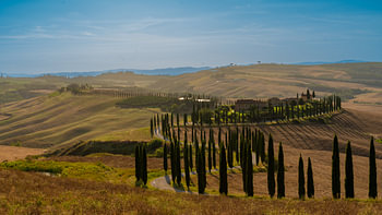 Vue panoramique : Cappella Vitaleta, Val d'Orcia