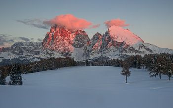 Alpi Di Siusi