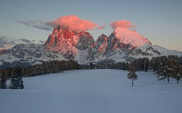 Alpi Di Siusi by Gunther Cleemput