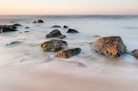 Scheveningen Beach - 1 van Damien Franscoise thumbnail