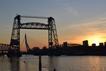 Rotterdam, De Hef met de ondergaande zon.