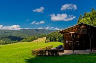 Prachtig landschap bij de Rennsteig/Thüringerwoud van Oliver Hlavaty thumbnail