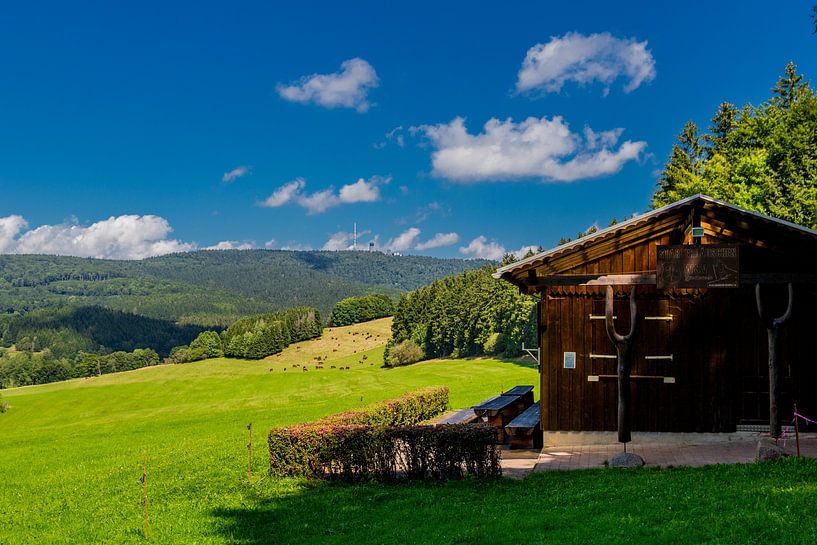 Prachtig landschap bij de Rennsteig/Thüringerwoud van Oliver Hlavaty