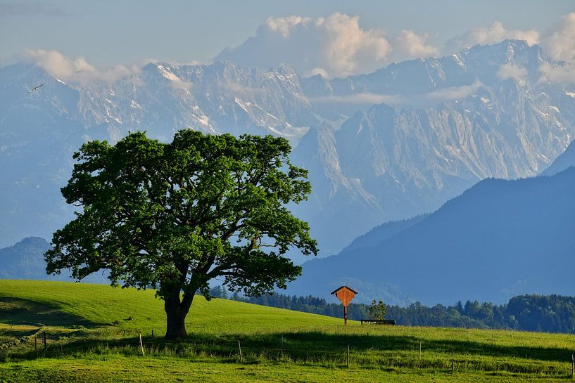 im blauen Land von Peter Bergmann