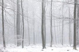 Schnee im Wald abstrakt von KB Design & Photography (Karen Brouwer)