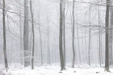 Sneeuw in het bos abstract van KB Design & Photography (Karen Brouwer)