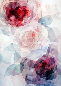 Peonies flowers