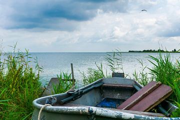 Oude roeiboot in het riet van Arjan van der Veer