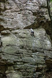 Bergsteiger von Wilna Thomas