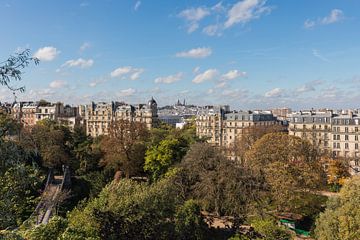 Het Parc des Buttes-Chaumont met uitzicht op de Sacré-Coeur in Parijs