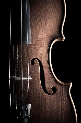 Viool lijnen
