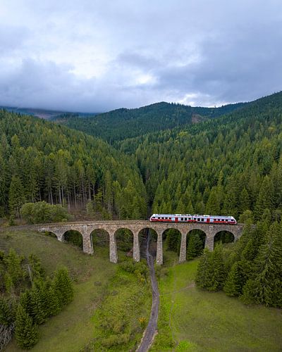 Trein op stenen viaduct in groen berglandschap
