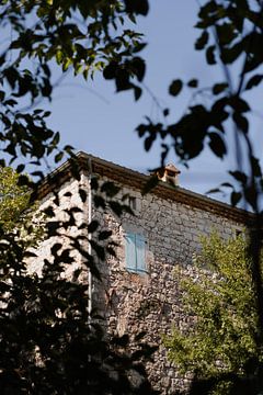 Sneak peak door de bomen naar een schattig frans stenen huisje met blauwe kozijnen. van Fotograaf Elise