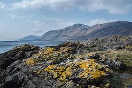 Ein schottisches Bild von Jasper Los