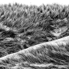 Dans van de duinen van Texel eXperience