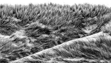 Dans van de duinen van Texel eXperience