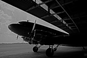 Rozijnenbommenwerper op de oude luchthaven Berlin-Tempelhof