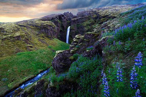 De wieg van de eenhoorns 